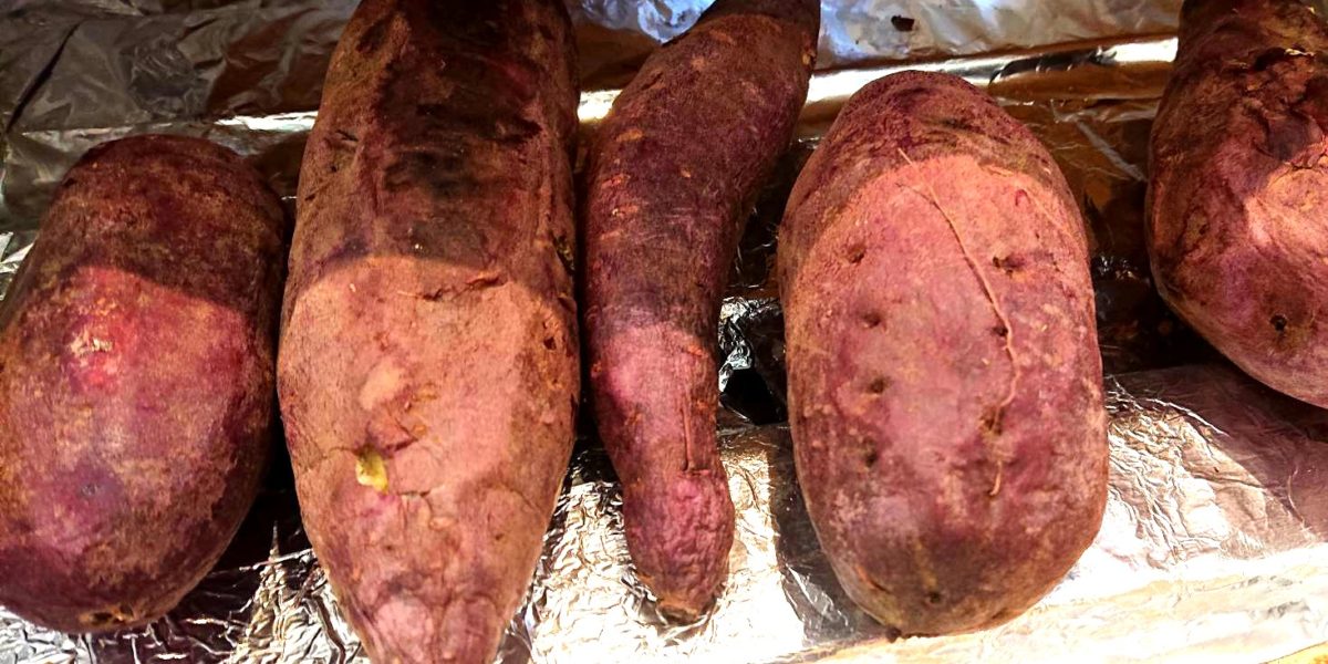 「仙台金時」について