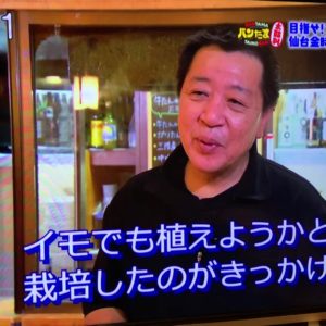 OH!バンデス で「新ブランド 仙台金時」として放送！